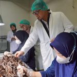 Bapanas, Pastikan Keamanan Pangan Rempah Ekspor, melalui Pengawasan Pre-Market
