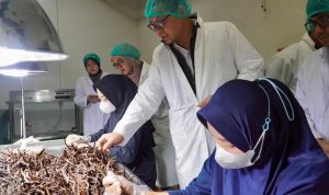 Bapanas, Pastikan Keamanan Pangan Rempah Ekspor, melalui Pengawasan Pre-Market