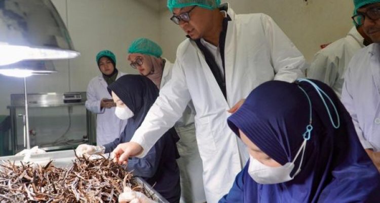 Bapanas, Pastikan Keamanan Pangan Rempah Ekspor, melalui Pengawasan Pre-Market