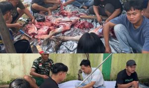 Ansor Banten Berkurban, 11 Hewan Disembelih, Solidaritas Jadi Nyata di Idul Adha 1447 H