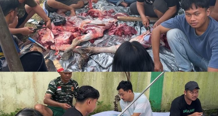 Ansor Banten Berkurban, 11 Hewan Disembelih, Solidaritas Jadi Nyata di Idul Adha 1447 H