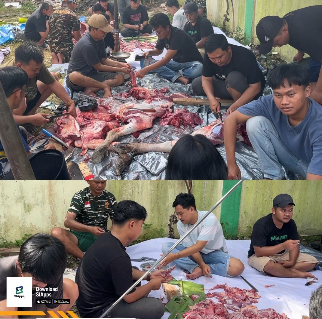 1 Ansor Banten Berkurban, 11 Hewan Disembelih, Solidaritas Jadi Nyata di Idul Adha 1447 H