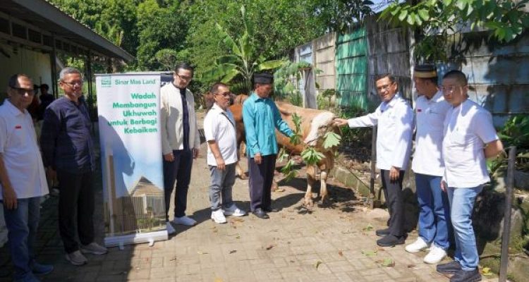Rayakan Iduladha 1447 H, Yayasan Muslim Sinar Mas Land, Salurkan Bantuan 482 Ekor Hewan Kurban