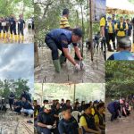 Ascott Indonesia, Peringati Hari Mangrove Sedunia, i Aksi Penanaman Mangrove, CSR