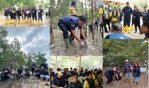 Ascott Indonesia, Peringati Hari Mangrove Sedunia, i Aksi Penanaman Mangrove, CSR