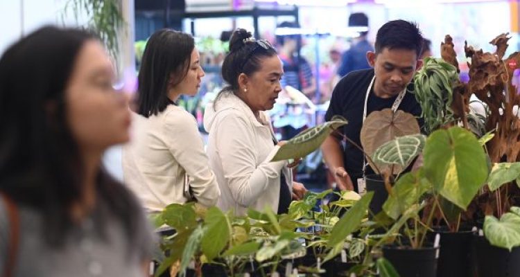 FLOII Expo 2026, ICE BSD, Catatkan 15.525 Pengunjung, Transaksi Lebih dari Rp10 Miliar