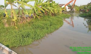1 Kementerian PU, Normalisasi Saluran Sekunder Tambun, 875,68 Hektare Sawah di Karawang Terairi