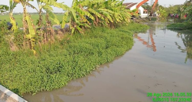 1 Kementerian PU, Normalisasi Saluran Sekunder Tambun, 875,68 Hektare Sawah di Karawang Terairi